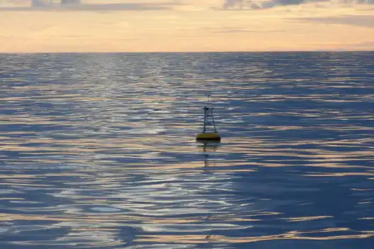 Photo: NOAA Photo Library / Wikimedia Commons, CC BY 2.0