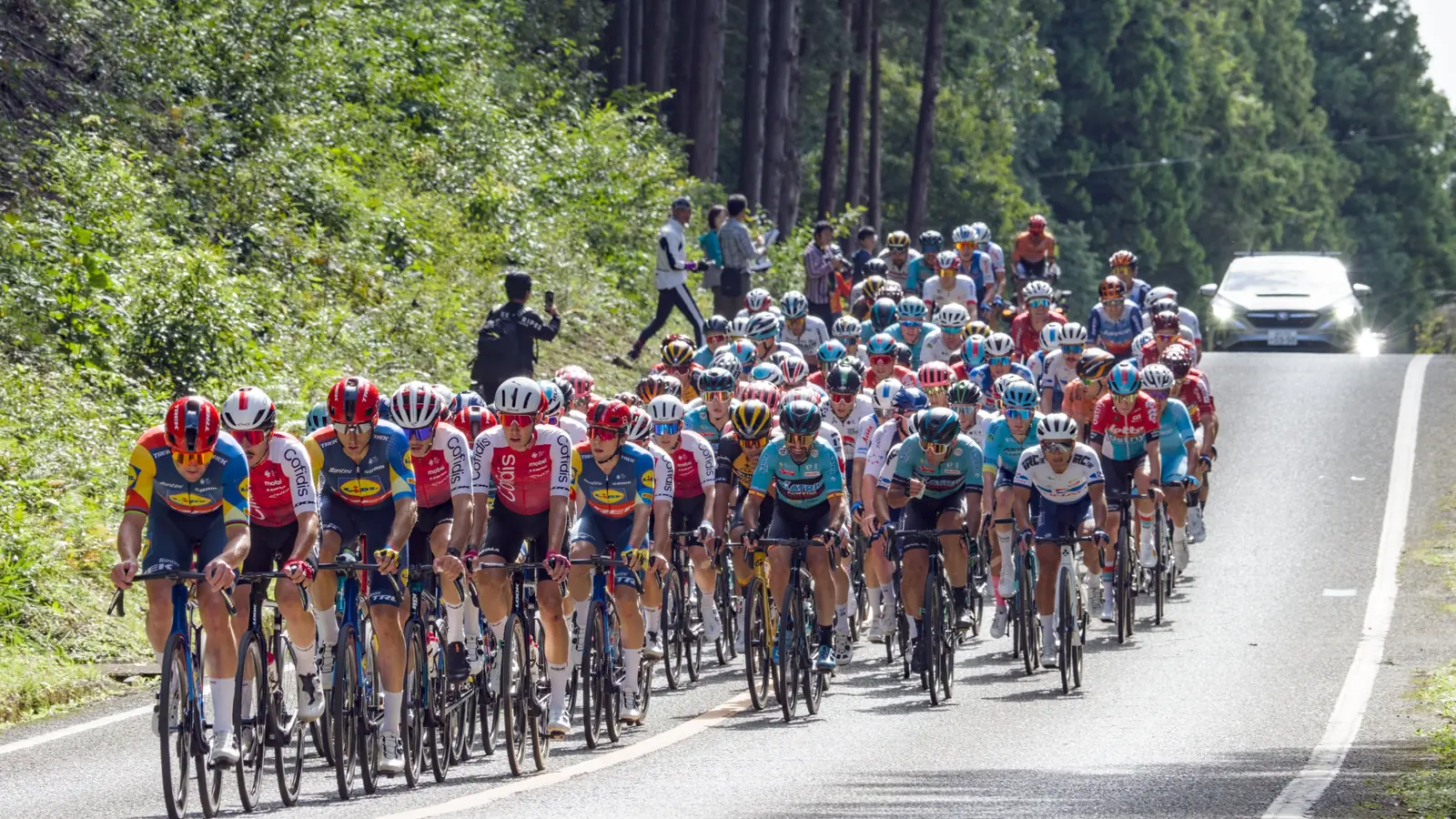 A tightly packed peloton of road cyclists climbing a forest road, a team car following behind