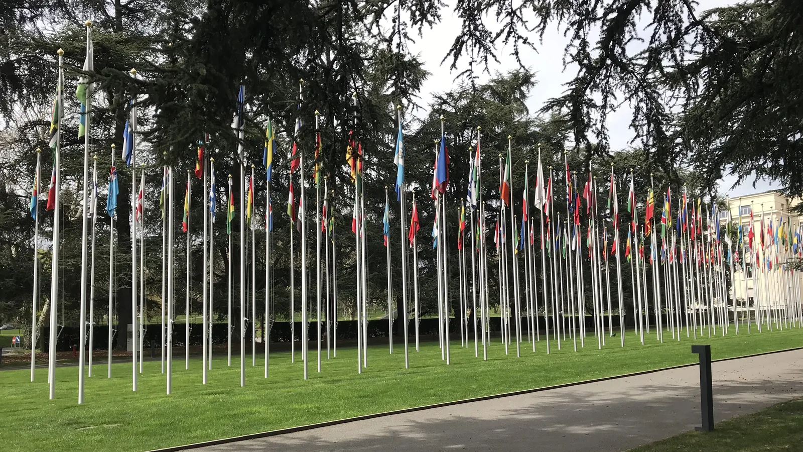 Rows of national flags on tall poles on a lawn among cedar trees at the Palace of Nations in Geneva